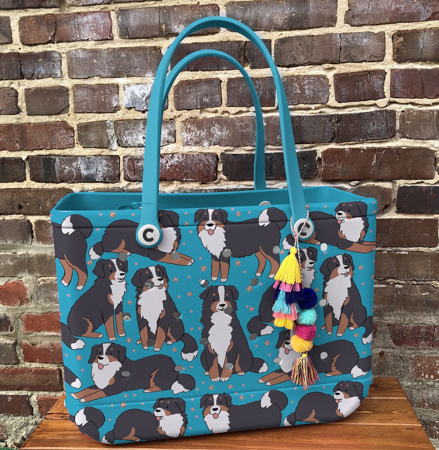 Spheregoods Cee™ Bag Bernese Bliss
