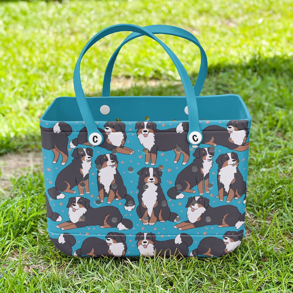 Spheregoods Cee™ Bag Bernese Bliss