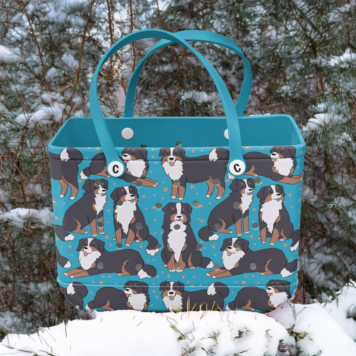 Spheregoods Cee™ Bag Bernese Bliss